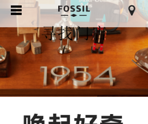 FOSSIL（化石）中文官方网站