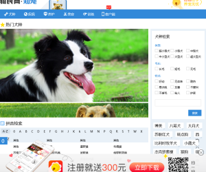 狗民网狗狗品种大全